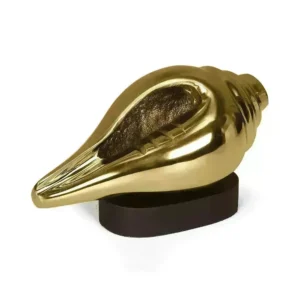 Shankh – Amplifier of Divine Energy & Influence