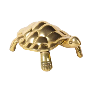 Unstoppable Victory Tortoise – Patience & Perseverance