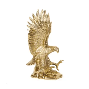 Expand Horizons Eagle